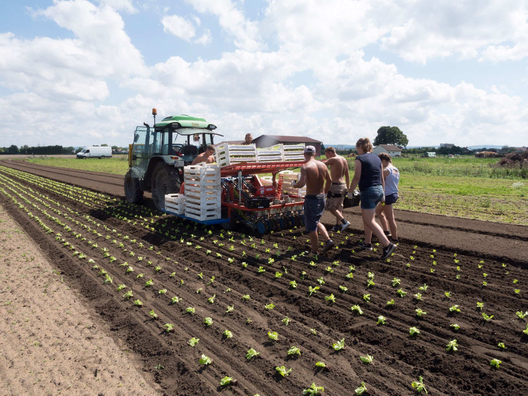 1709_Bamberg_Gaertner_3